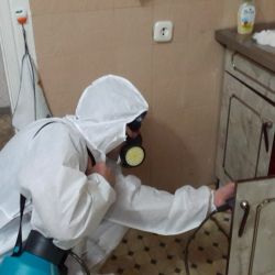 Дезинфекция от муравьев в квартире Библиотека имени Ленина метро Москвы