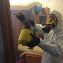 Уничтожение клопов в квартире. Библиотека имени Ленина