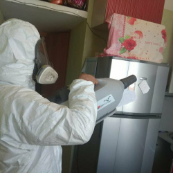 Уничтожение насекомых в квартире. Библиотека имени Ленина